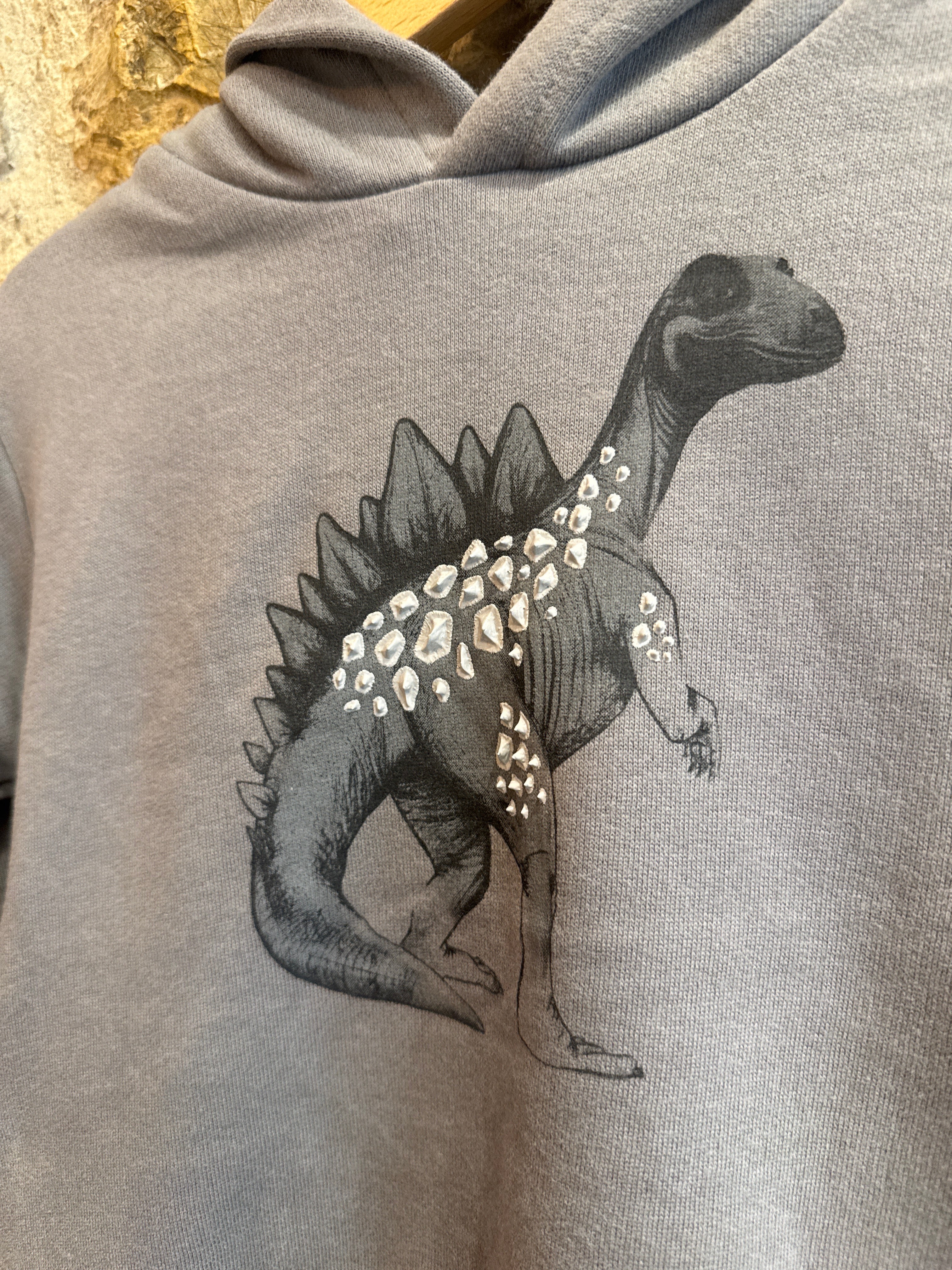 Felpa Dinosauro