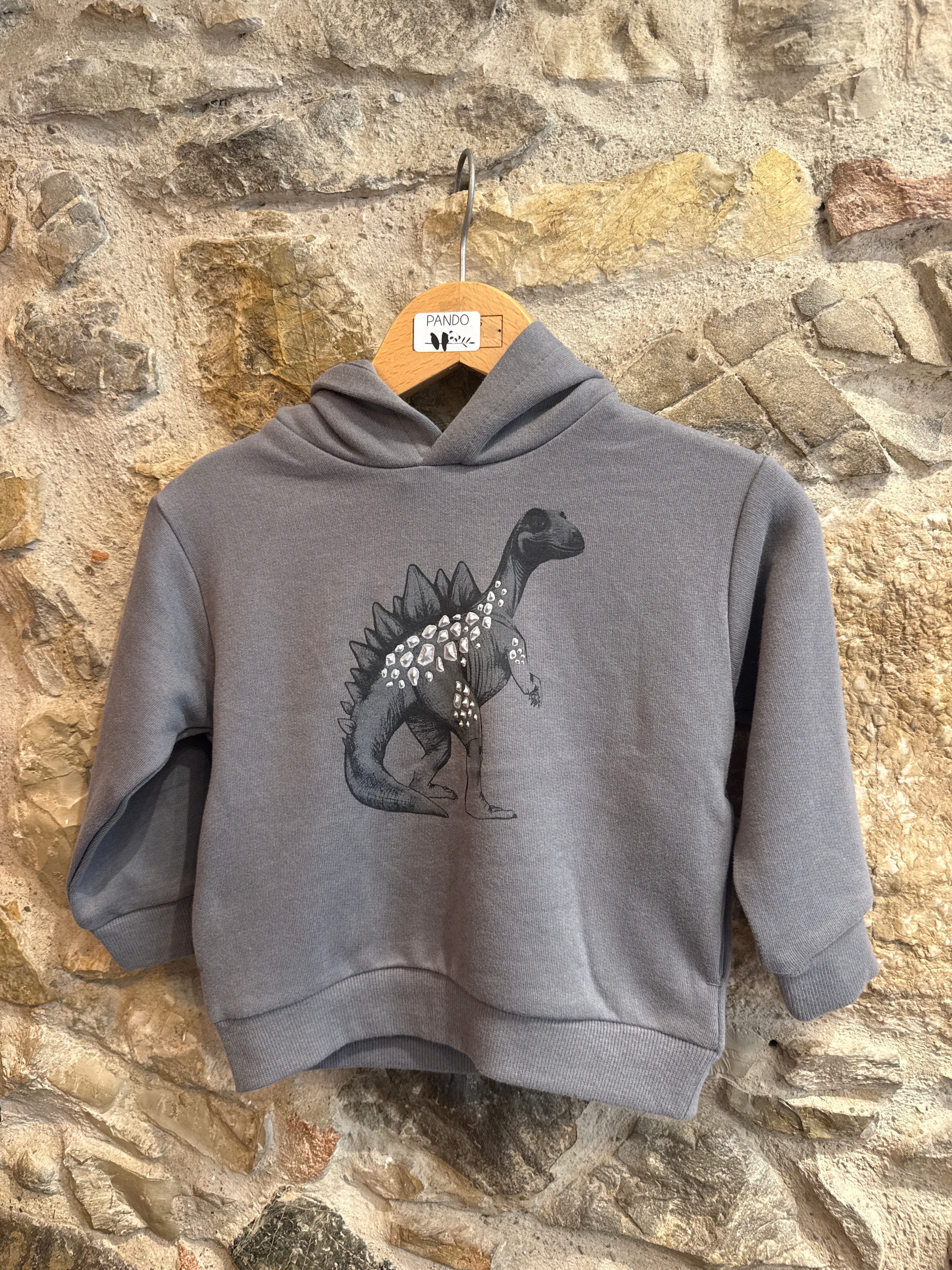 Felpa Dinosauro