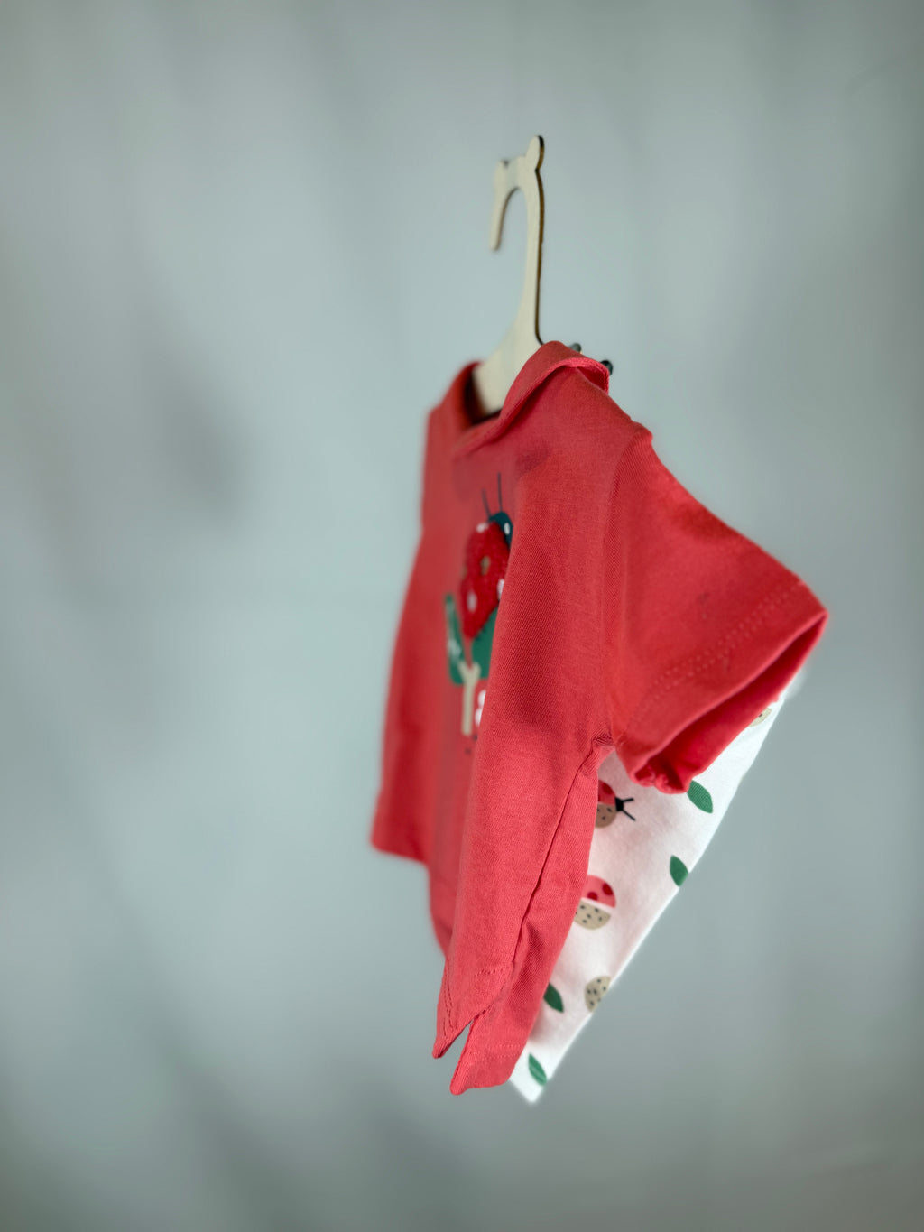 Set 2 Pezzi “Lucky Ladybug” Boboli