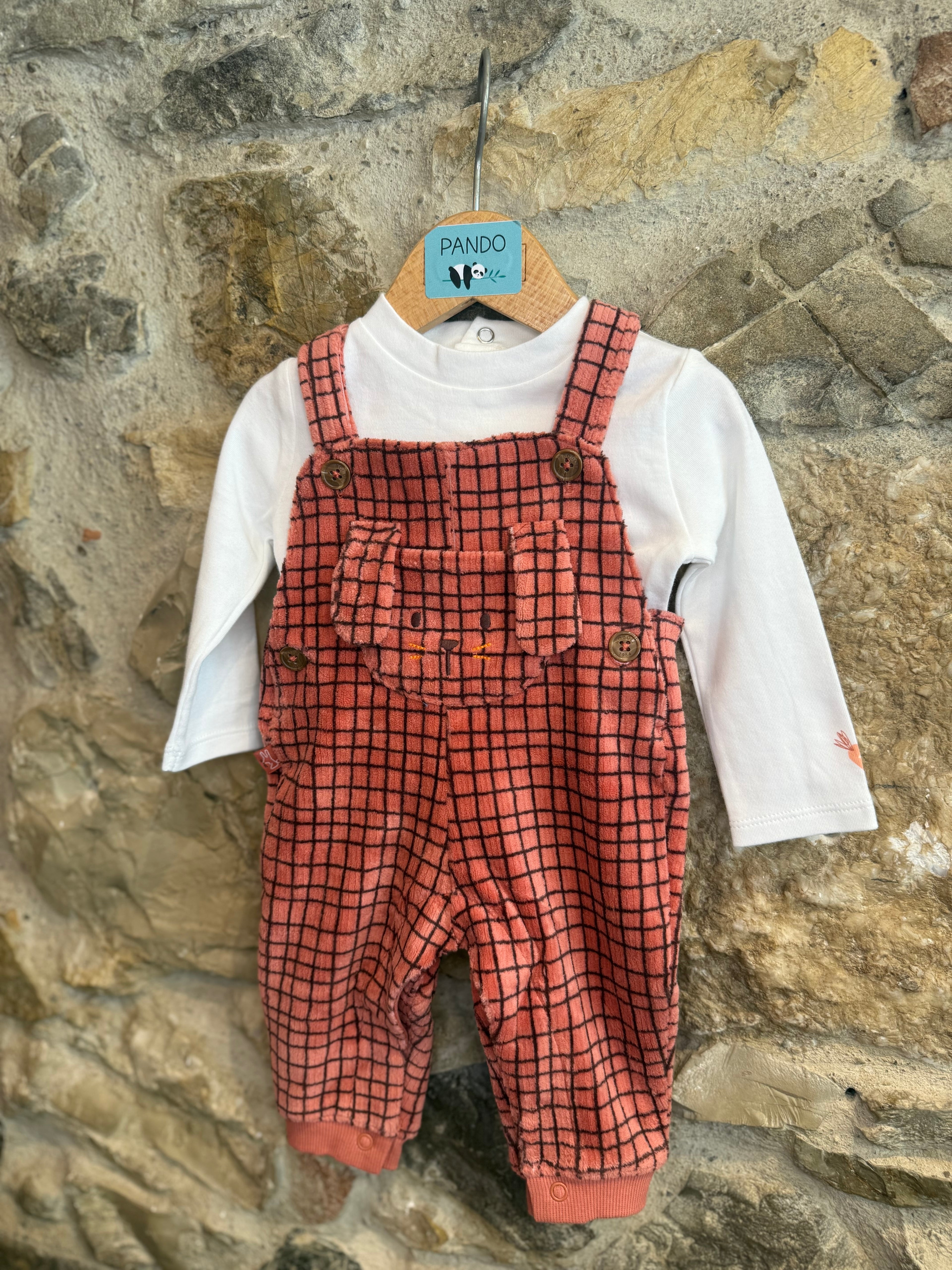 Completo Cane ciniglia