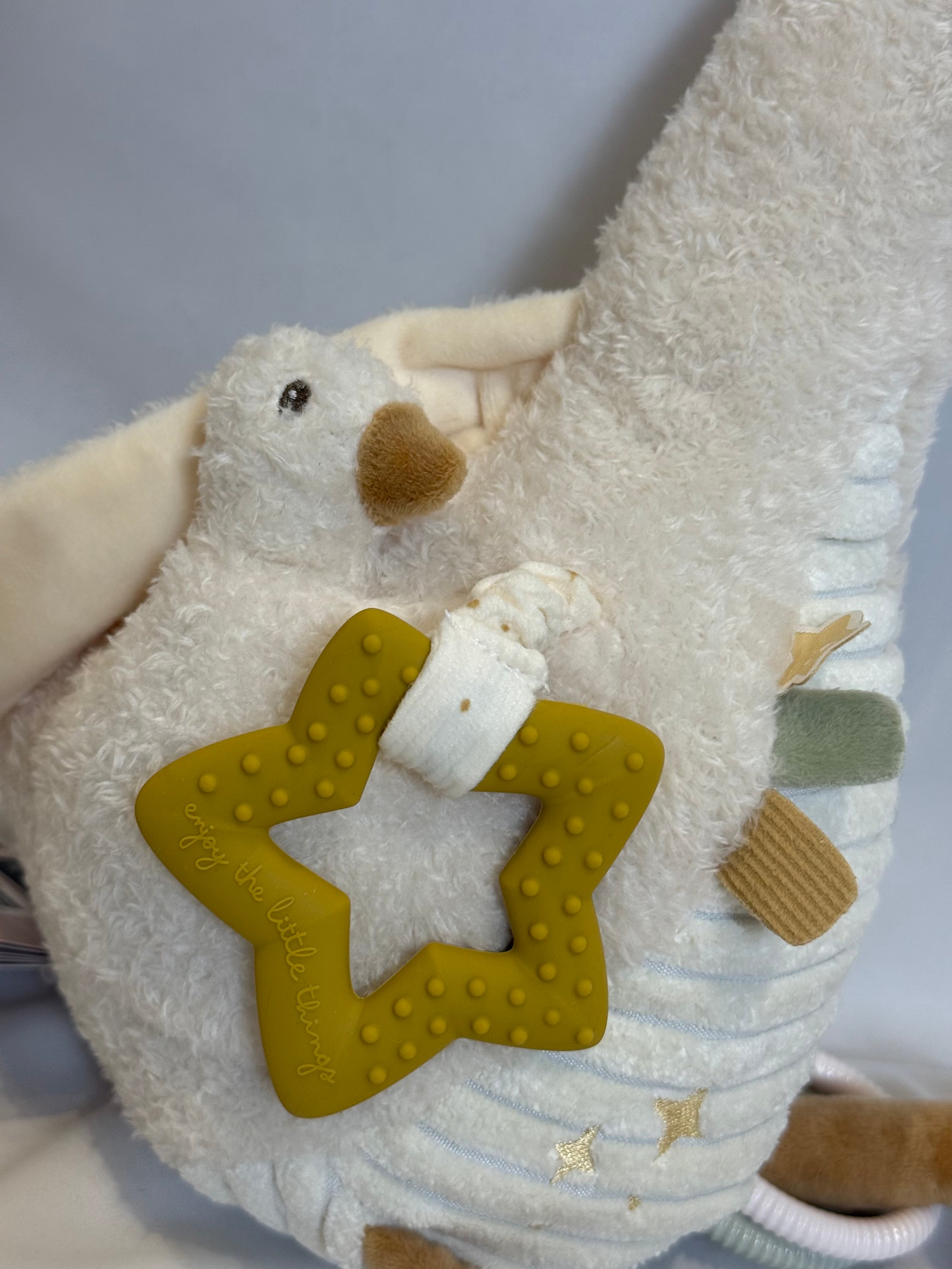 🦢 Oca Multiattività Little Dutch – Coccole & Scoperte
