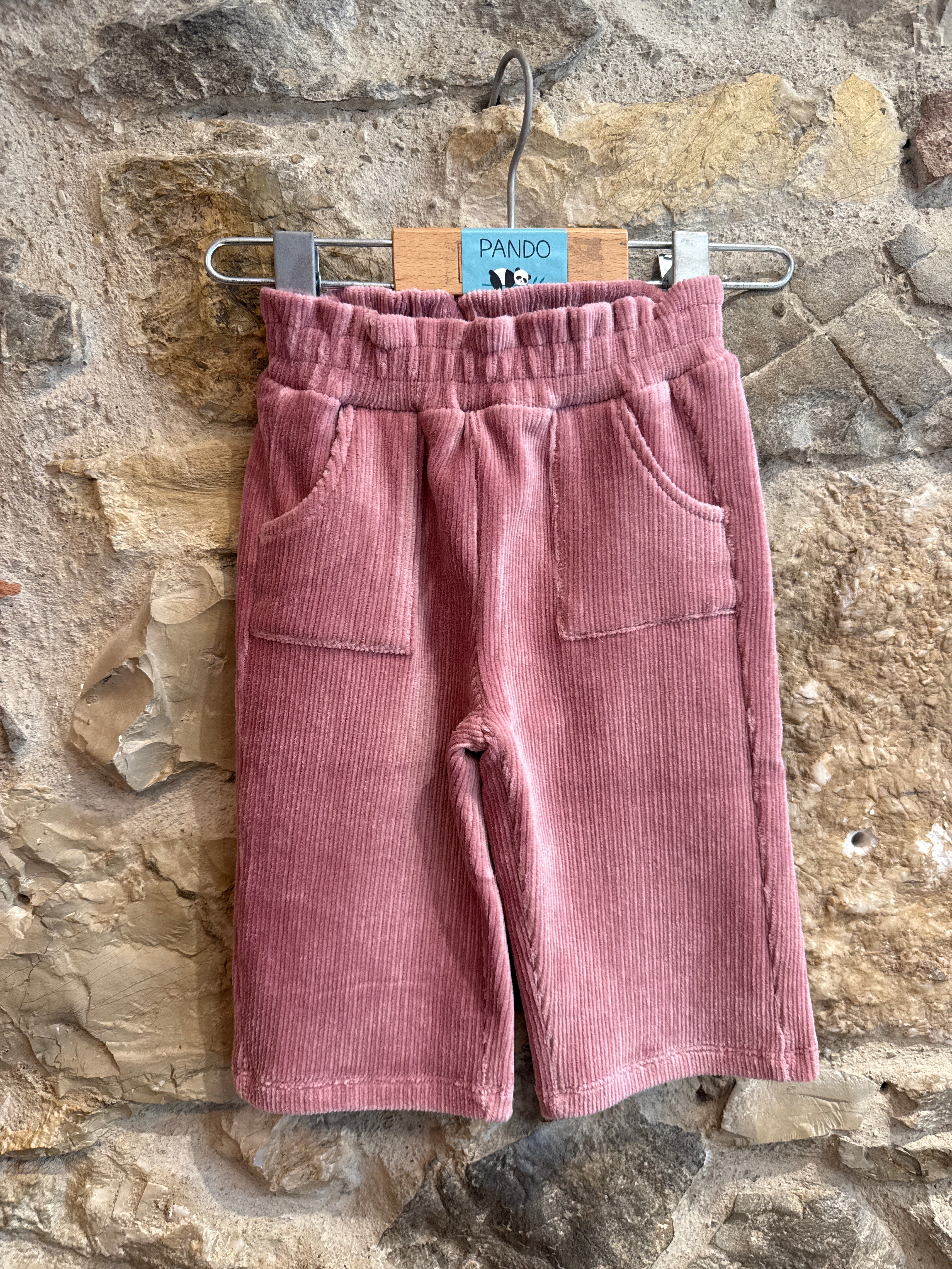 Pantaloni in velluto con brillantini